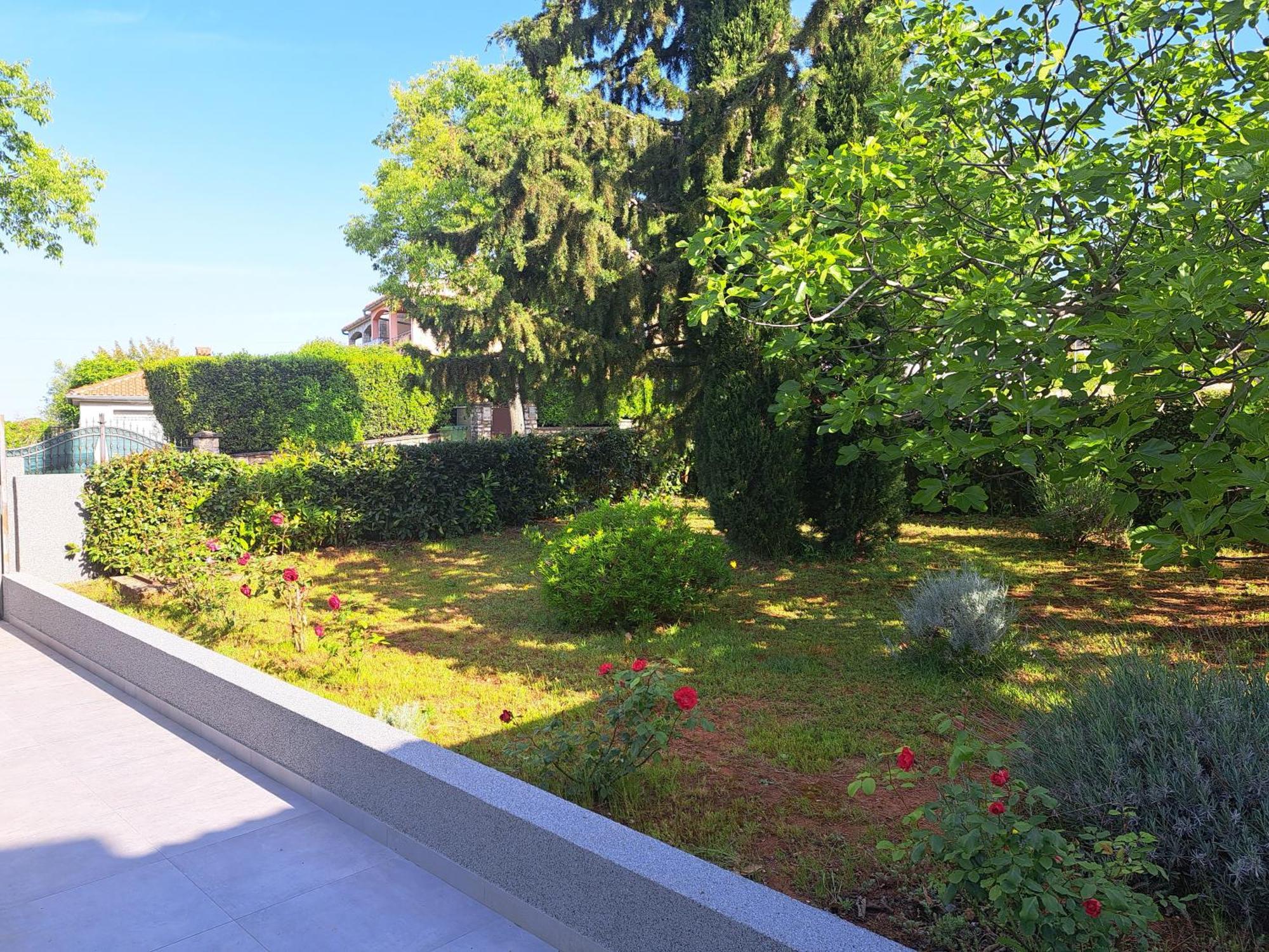 Apartment Elinor 2 Rovinj Exterior photo